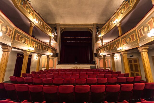 Dott. Delfino, Psicoteatro